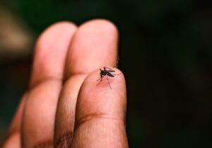 ITAGUARA REALIZA 2º LIRAA DE 2026 E SUPERA A META DE IMÓVEIS VISTORIADOS