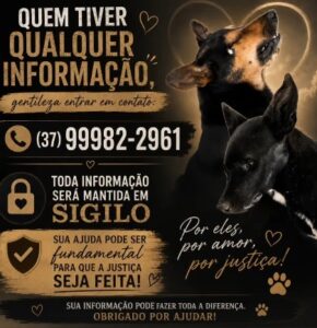 REVOLTA EM PASSA TEMPO: POPULAÇÃO DENUNCIA CASOS DE POSSÍVEL ENVENENAMENTO DE CÃES
