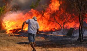 QUEIMADAS ILEGAIS REVOLTAM MORADORES E EXPÕE FALHAS NA FISCALIZAÇÃO NA REGIÃO